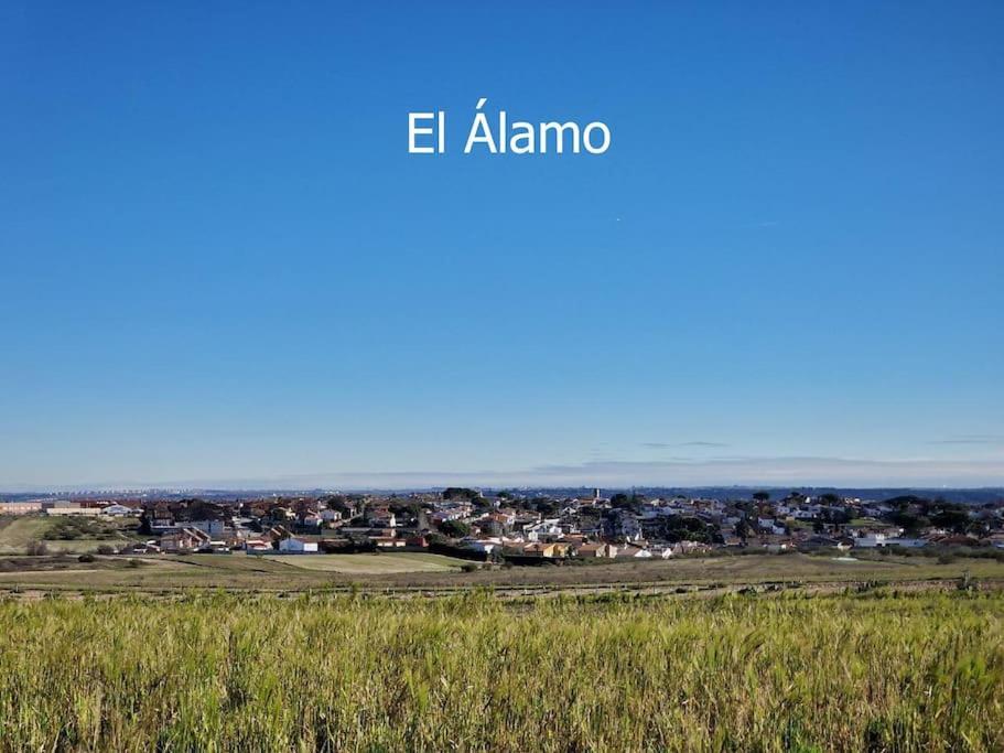 Primera Planta Completa, El Alamo Exterior photo